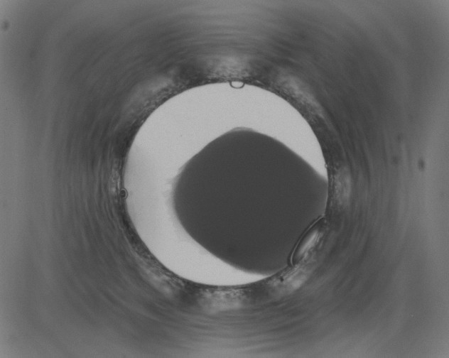 X0000081460517200702092318