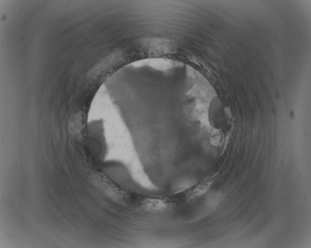 X0000081460519200702092318