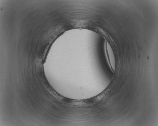 X0000081460521200702092318