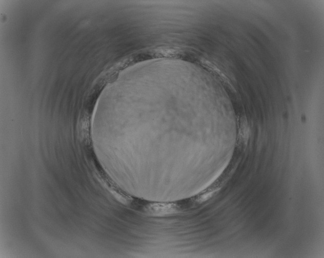 X0000081460526200702092318
