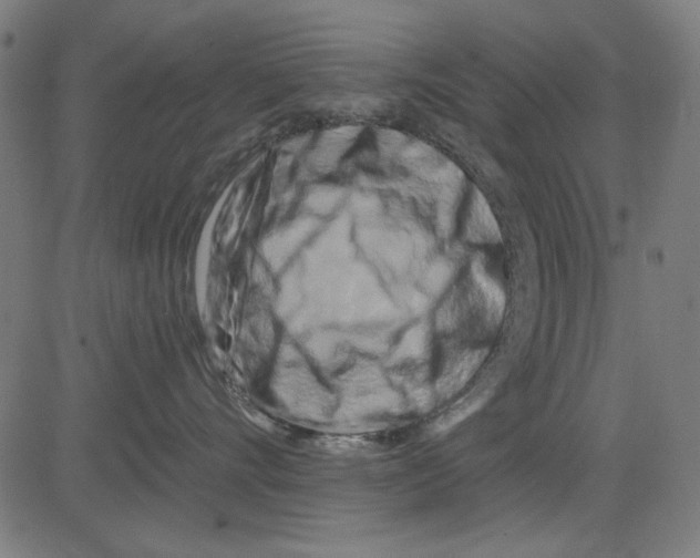 X0000081460528200702092318