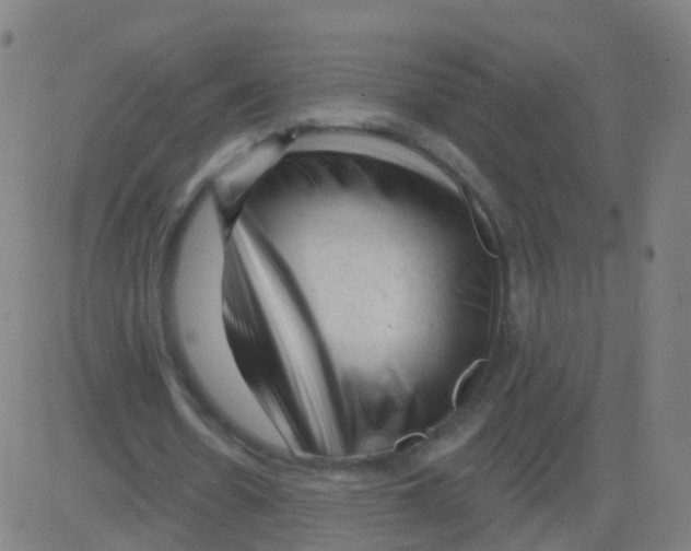 X0000081460530200702092317