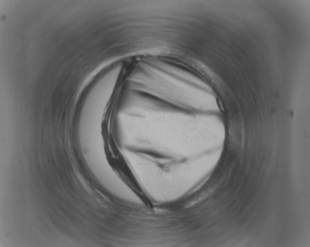 X0000081460532200702092317