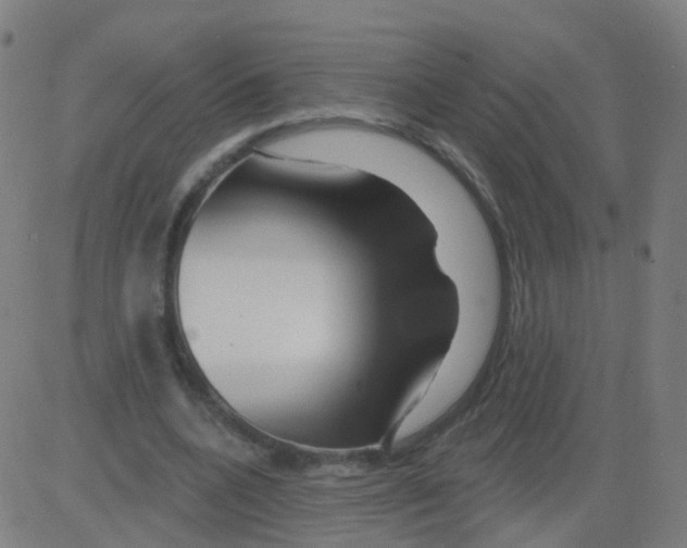 X0000081460536200702092317