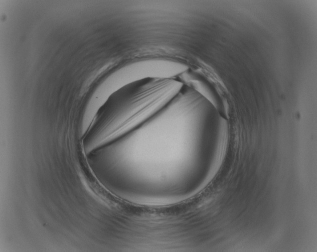 X0000081460538200702092317