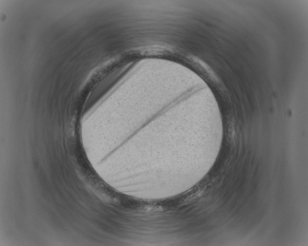 X0000081460543200702092317
