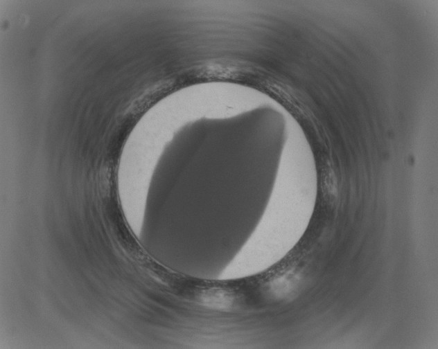 X0000081460551200702092317