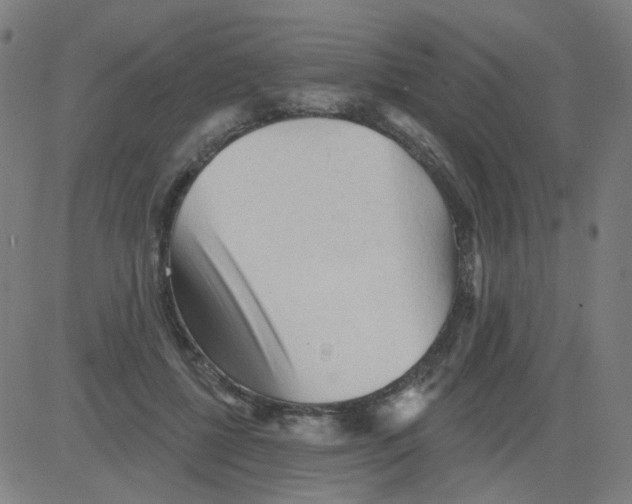 X0000081460552200702092317