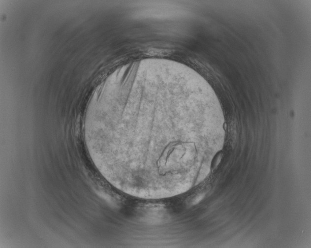 X0000081460554200702092317