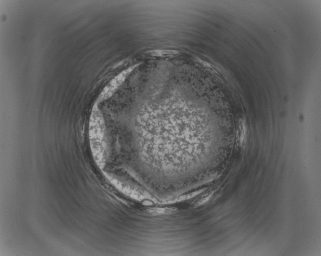 X0000081460558200702092317