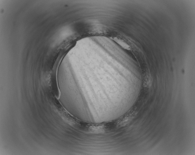 X0000081460560200702092318