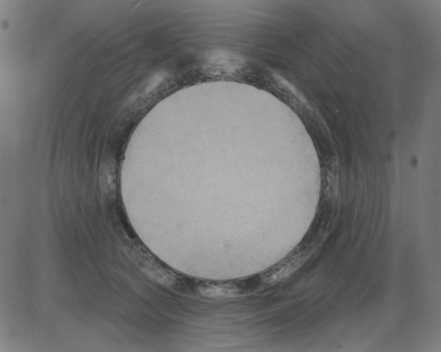 X0000081460561200702092318