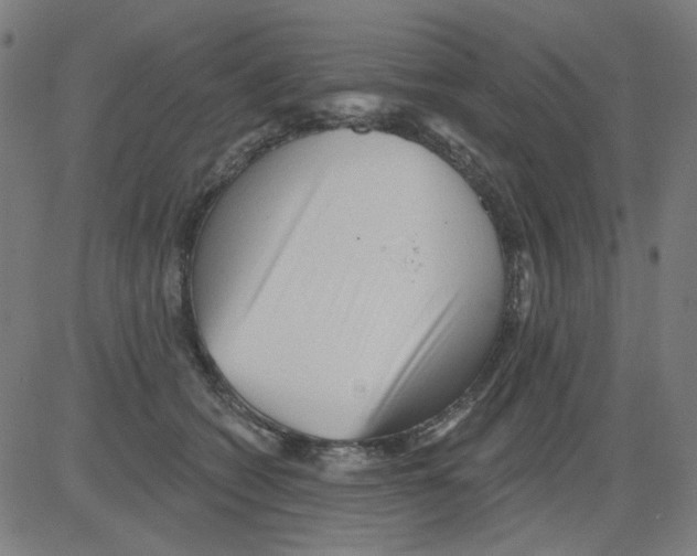 X0000081460562200702092318