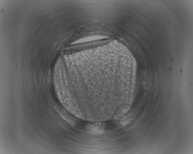 X0000081460563200702092318