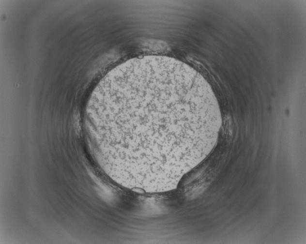 X0000081460564200702092318