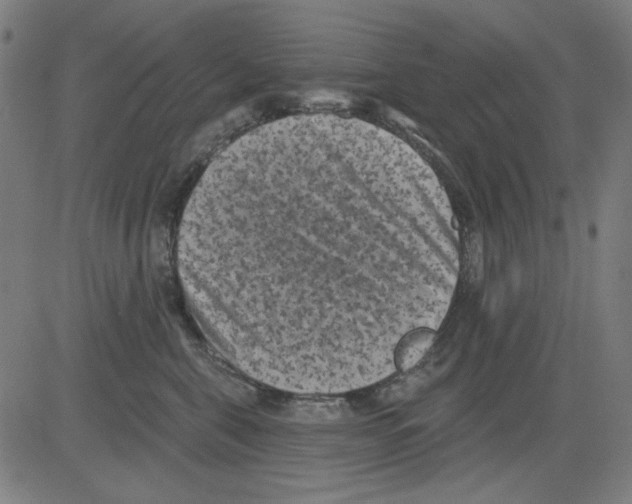 X0000081460571200702092318