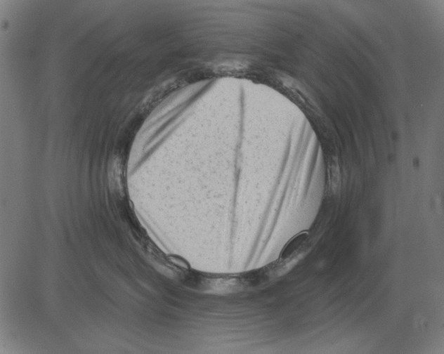 X0000081460575200702092318
