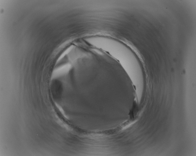 X0000081460577200702092317