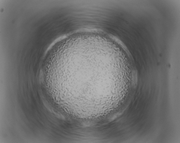 X0000081460579200702092317