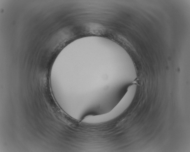 X0000081460595200702092317