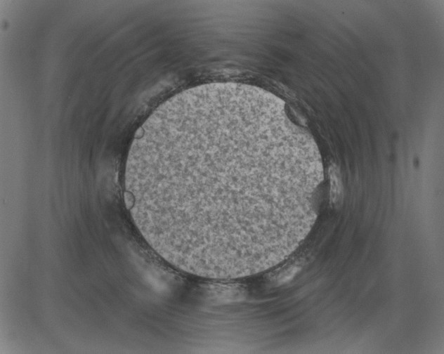 X0000081460615200702092316