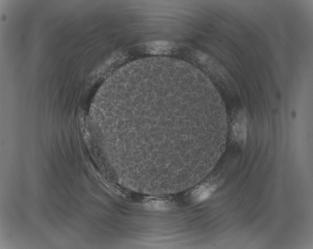 X0000081460620200702092316