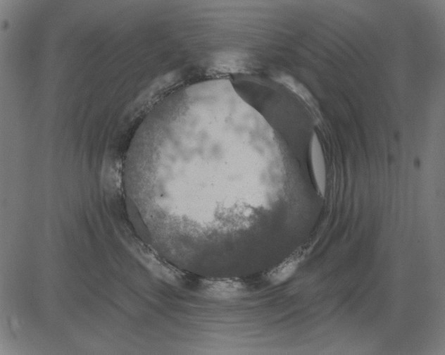 X0000081460621200702092316