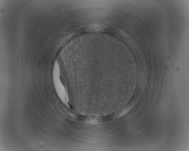 X0000081460624200702092316