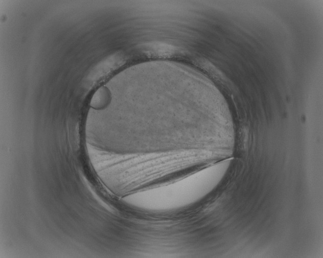 X0000081460638200702092316