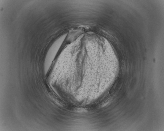 X0000081460649200702092316