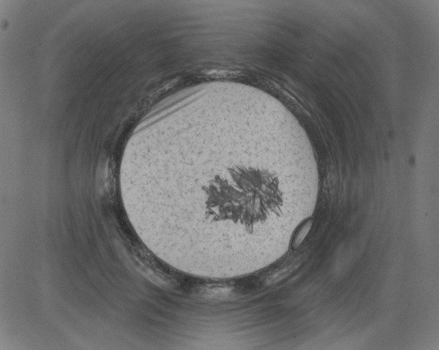X0000081460651200702092316