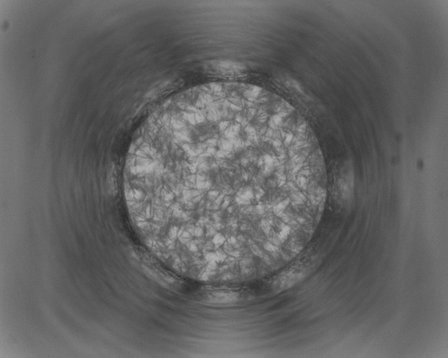 X0000081460658200702092316