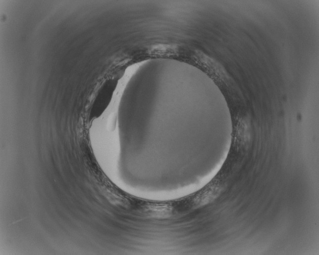 X0000081460659200702092316
