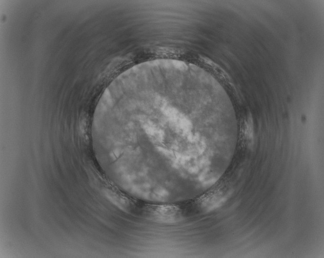 X0000081460663200702092316