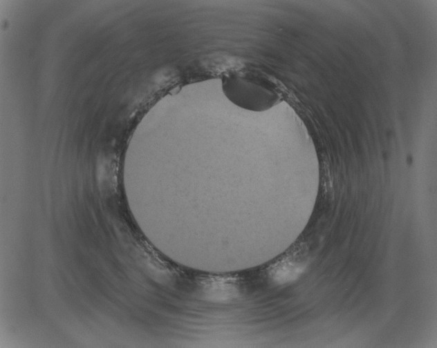 X0000081460664200702092316