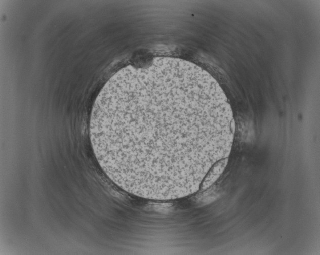 X0000081460665200702092316