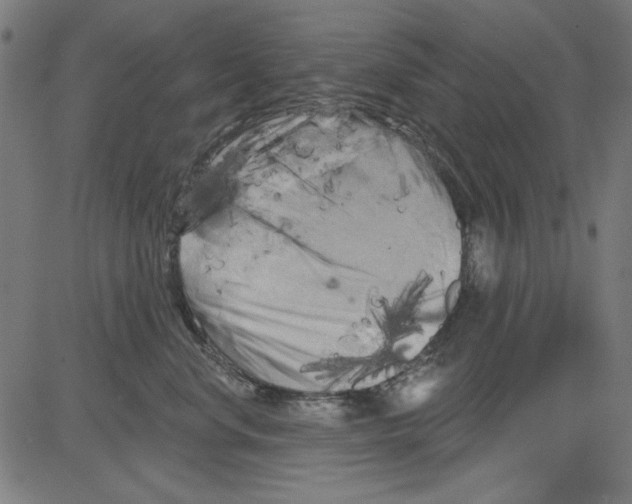 X0000081460668200702092316
