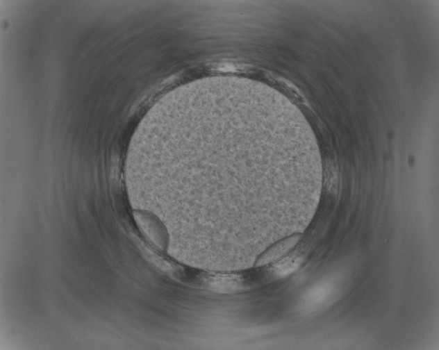 X0000081460670200702092316
