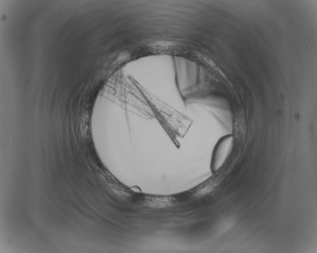 X0000081460671200702092316
