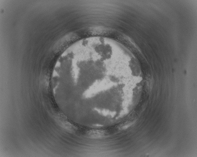 X0000081460691200702092315