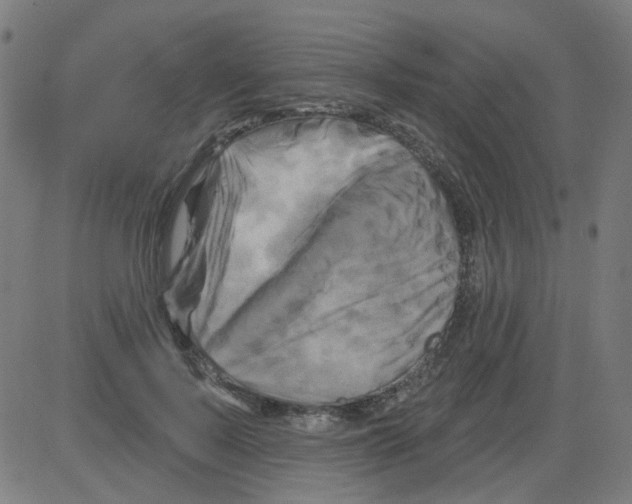 X0000081460695200702092315
