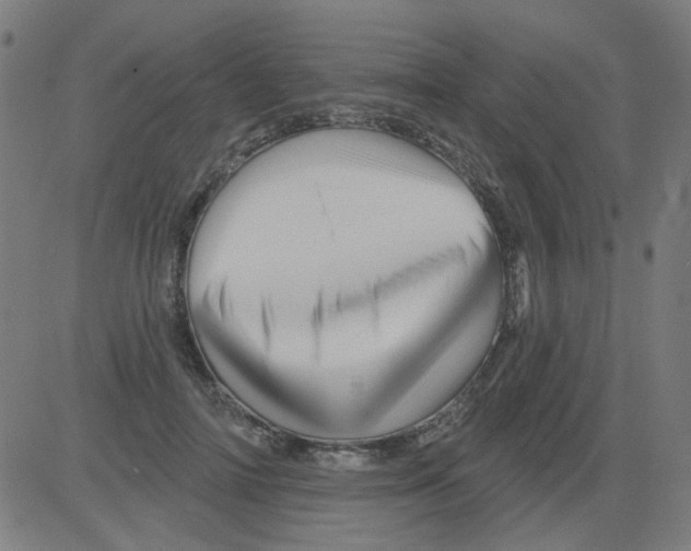 X0000081460698200702092315