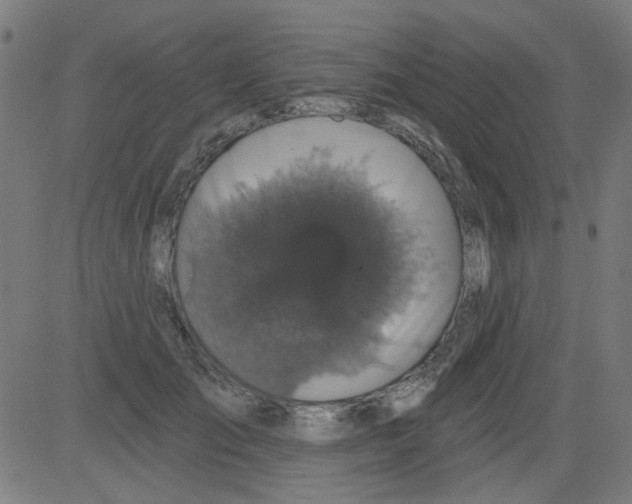 X0000081460701200702092315