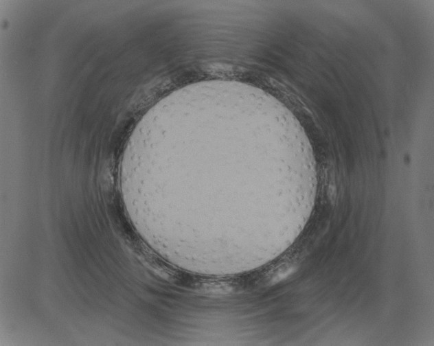 X0000081460702200702092315