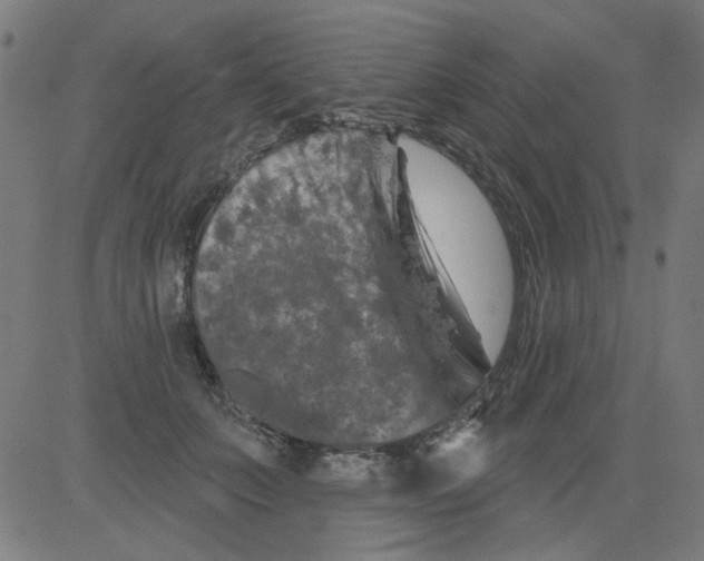 X0000081460703200702092315