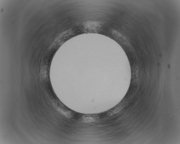 X0000081460706200702092315