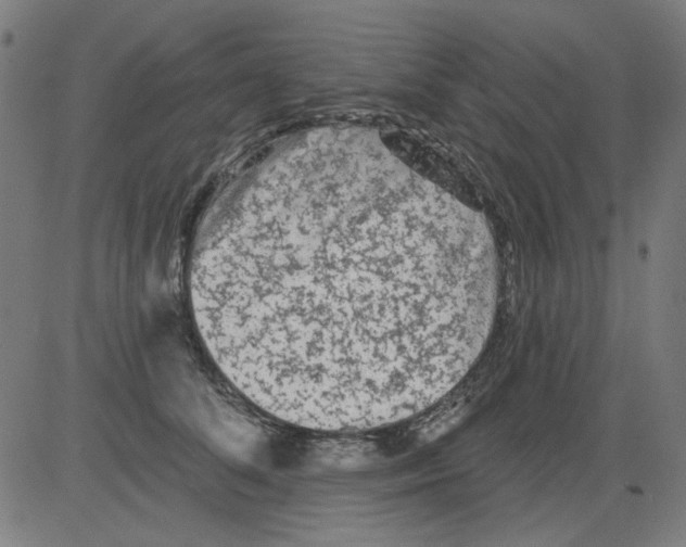 X0000081460708200702092315