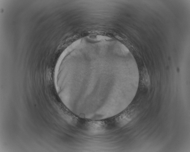 X0000081460711200702092315