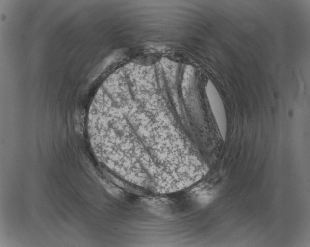 X0000081460712200702092315