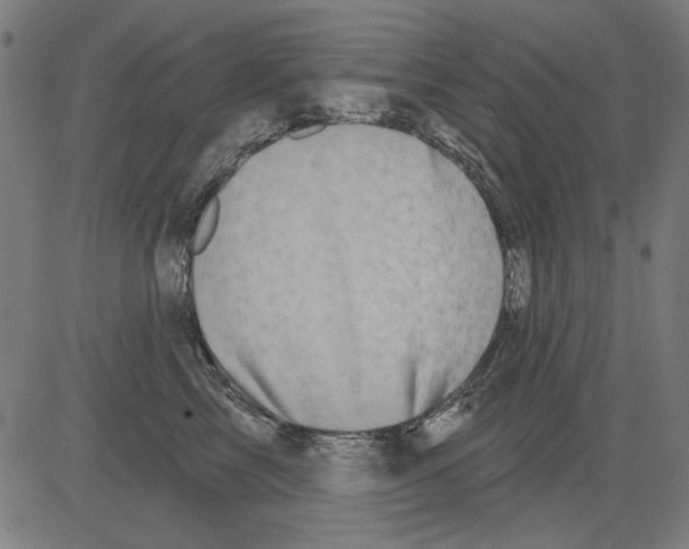 X0000081460713200702092315